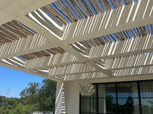 Load image into Gallery viewer, 8Ft Eucalyptus Pole