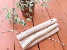 Load image into Gallery viewer, Craft Eucalyptus pieces - Bulk