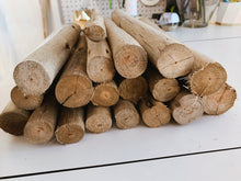 Load image into Gallery viewer, Craft Eucalyptus pieces - Bulk