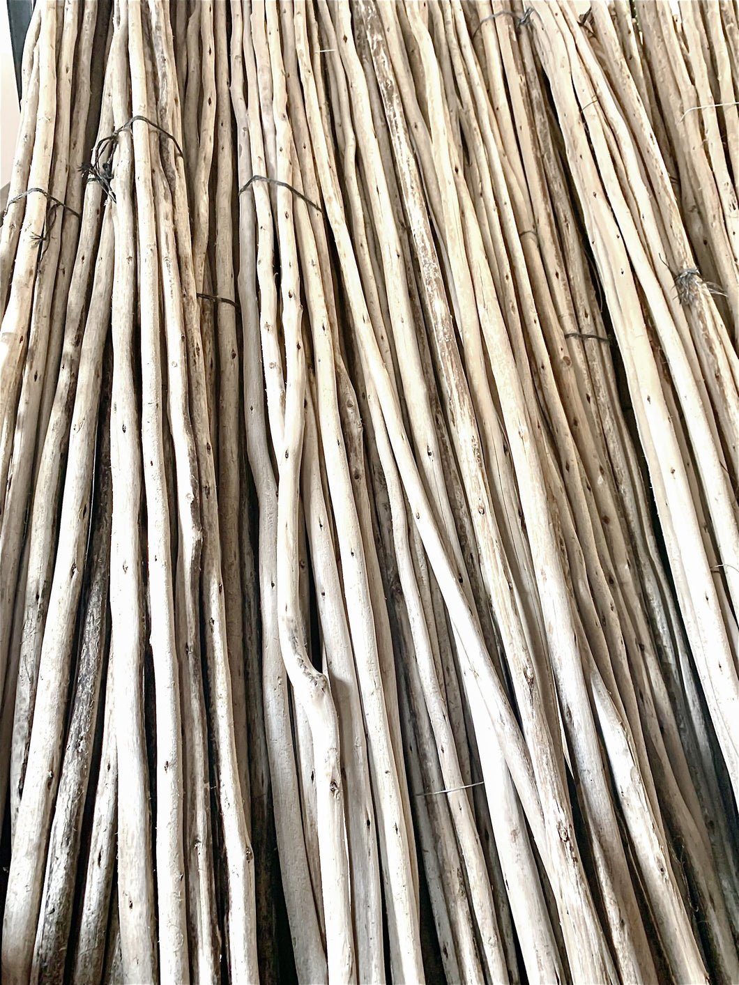 5FT Eucalyptus Pole